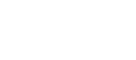 Silicon South Member
